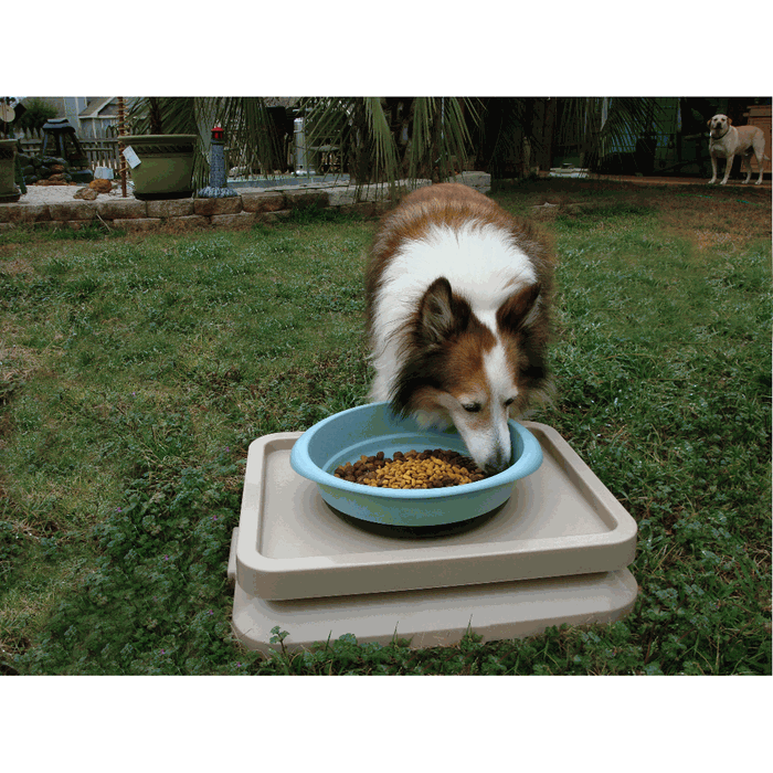 No Longer Produced: AntBlocker Ant Free Pet Feeding Tray USA Made –  MadeinUSAForever