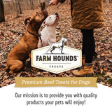 New: Beef Trainer - All-Natural Dog Treats - 4.5oz Made in USA