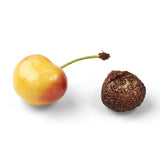 2-Pack of 5.4oz Rainier Cherries Made in USA