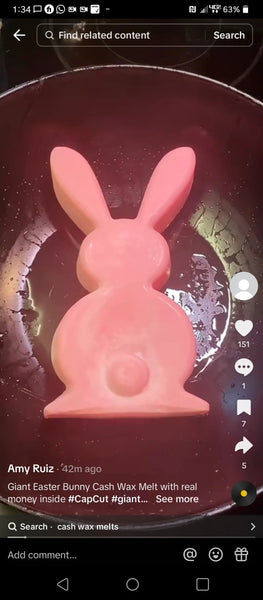 2-Pack GIANT BUNNY RABBIT CASH WAX MELTS