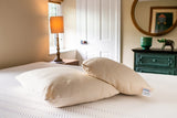 Natural Cotton Adjustable Pillow King Size with Wool Filling Made in USA
