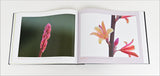 City Nature: A Lavishly Illustrated Nature Photography Book by Artist Martha Retallick