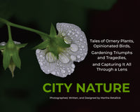City Nature: A Lavishly Illustrated Nature Photography Book by Artist Martha Retallick