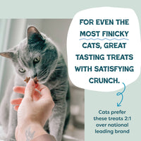 2-Pack Catnip N Chill (fka Fintastic Catnip) Crunchy Cat Treats - Tuna, Made in USA
