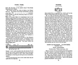 Field Book of Wild Birds and Their Music