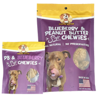 2-Pack of 8oz Peanut Butter & Blueberry Soft Chewy Dog Treats Made in USA