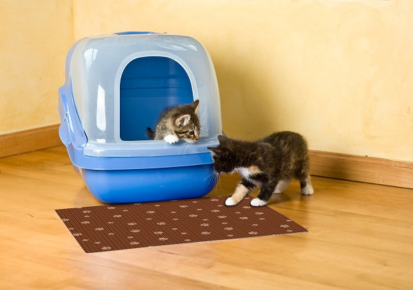 https://madeinusaforever.com/cdn/shop/products/cat-litter-box-mat-set-of-2-by-drymate-made-in-america-4_grande.jpg?v=1604257036