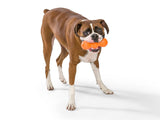 Rumpus Dog Chew Toy by Zogoflex Made in USA
